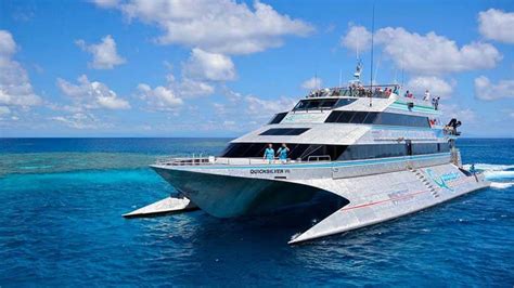quicksilver port douglas reviews|QUICKSILVER CRUISES (Port Douglas) .